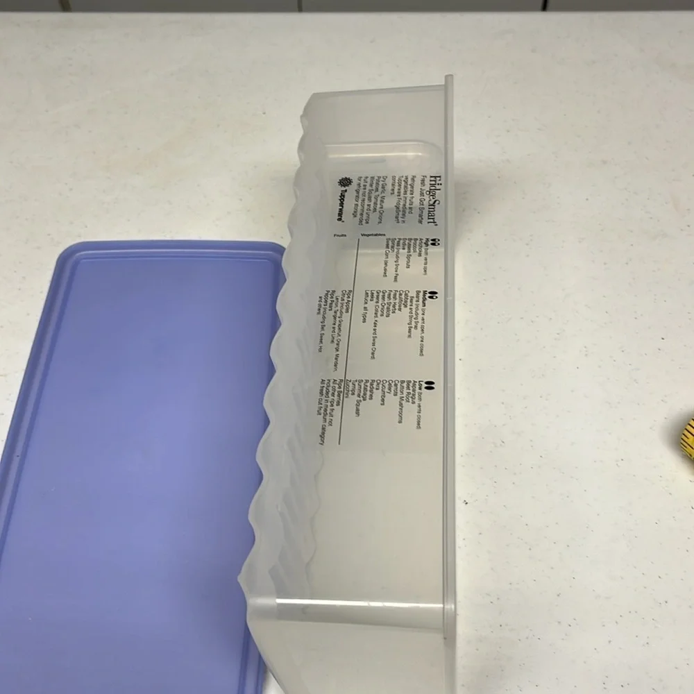 Tupperware Fridge Smart Container - Picture 7 of 16